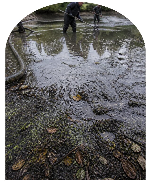 Очистка пруда в Реутове от ила мусора и водорослей с вывозом